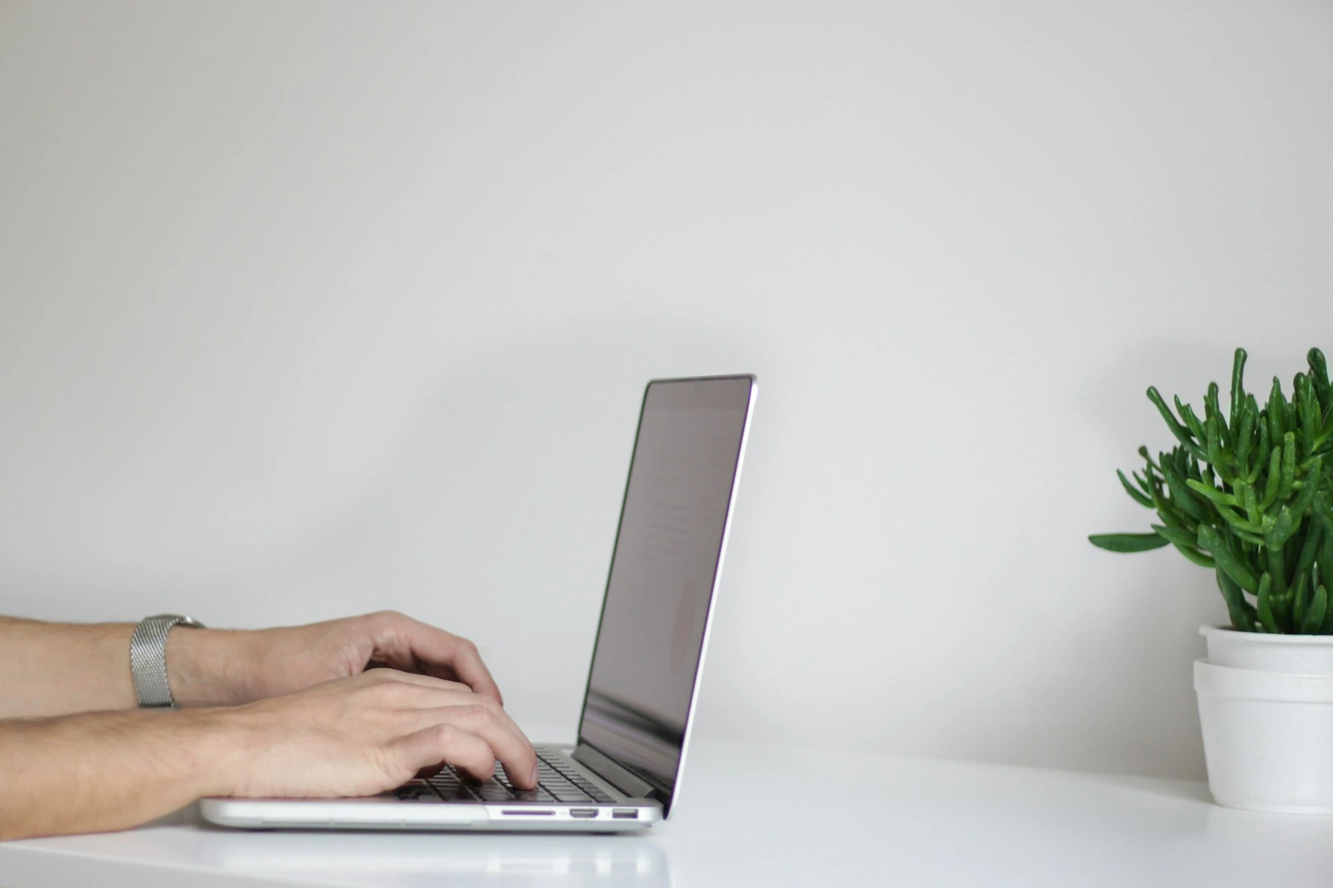 S&oslash;gemaskinerne Ecosia og Qwant annoncerer ny alliance for at konkurrere mod Google og Bing