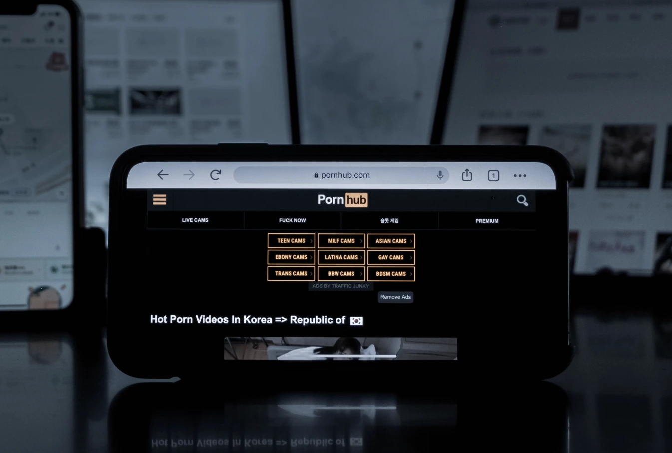 Pornhub Blokerer Adgang i 17 Stater p&aring; Grund af Risici for Privatlivets Fred